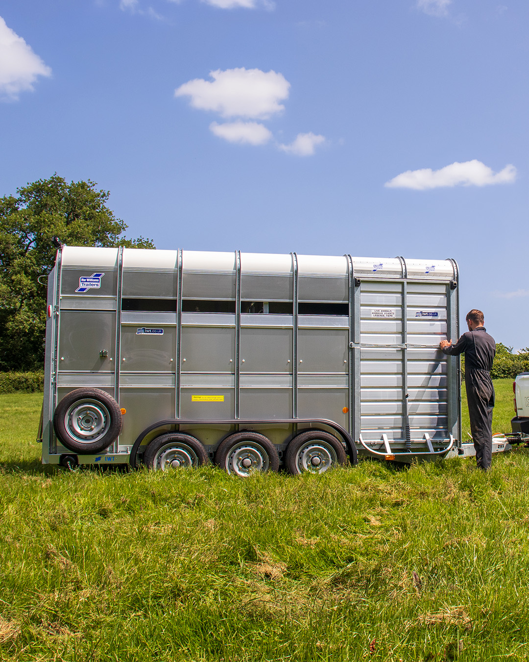 Livestock Trailers 3, Ifor Williams from Southern Trailers